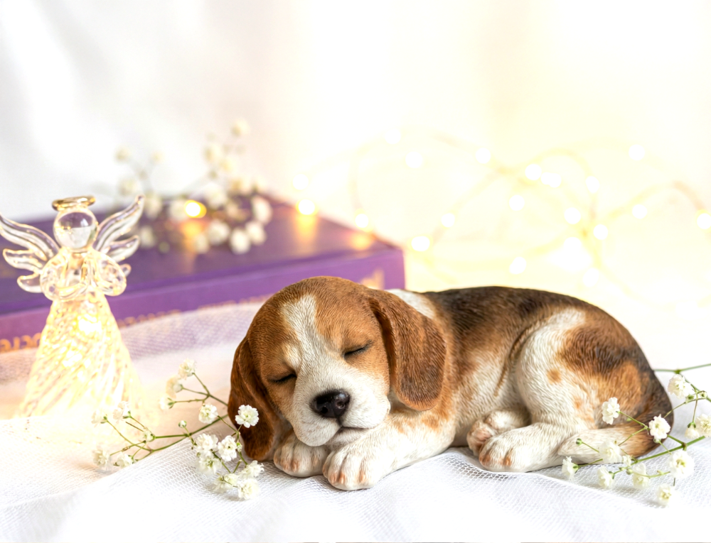 最後にしてあげられる、一生に一度の旅支度です