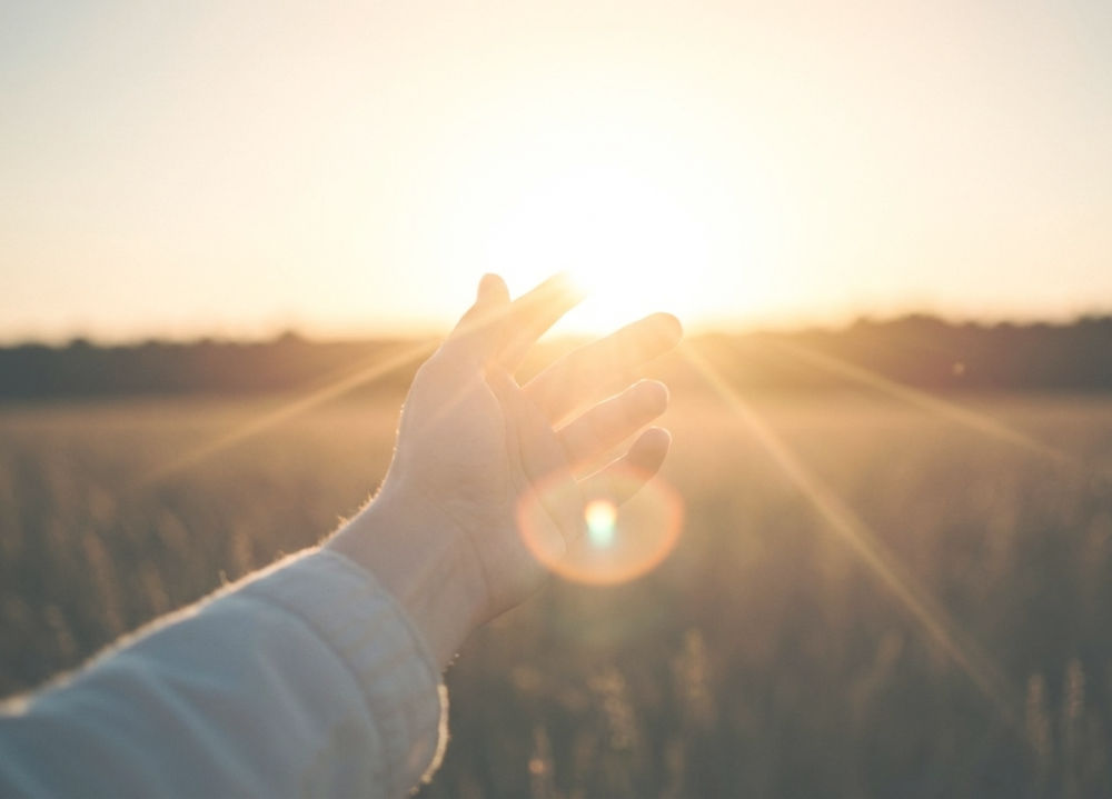 なくならないペットロスへの適応