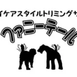 ファニーテール