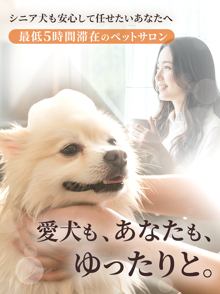 ファニーテール