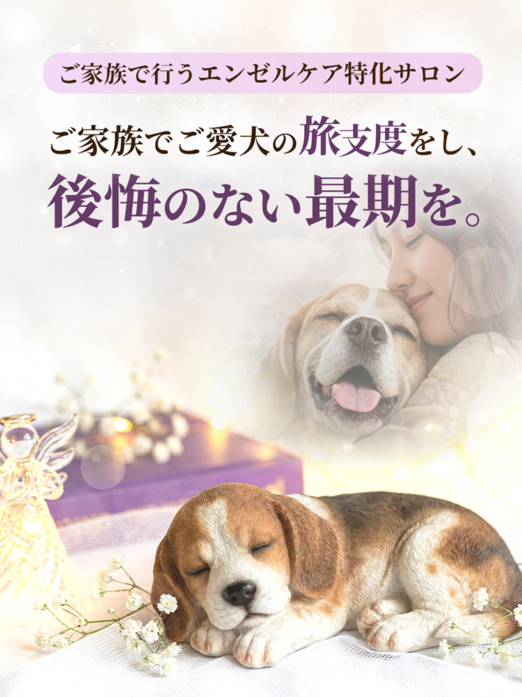 ファニーテール