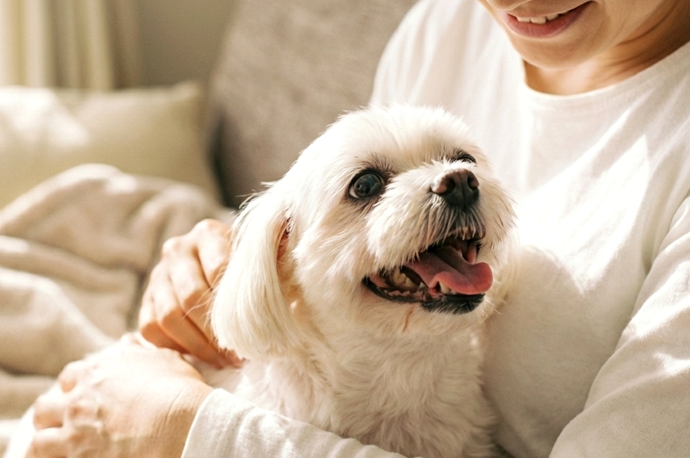 シニア期こそ、ゆとりを。