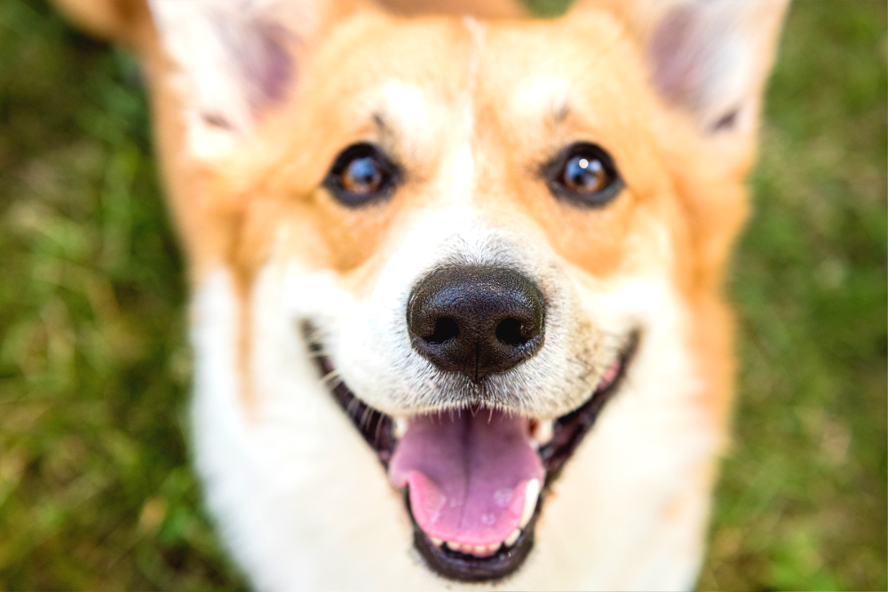 「ずっと元気で、一日でも長く」が私の心からの願い。