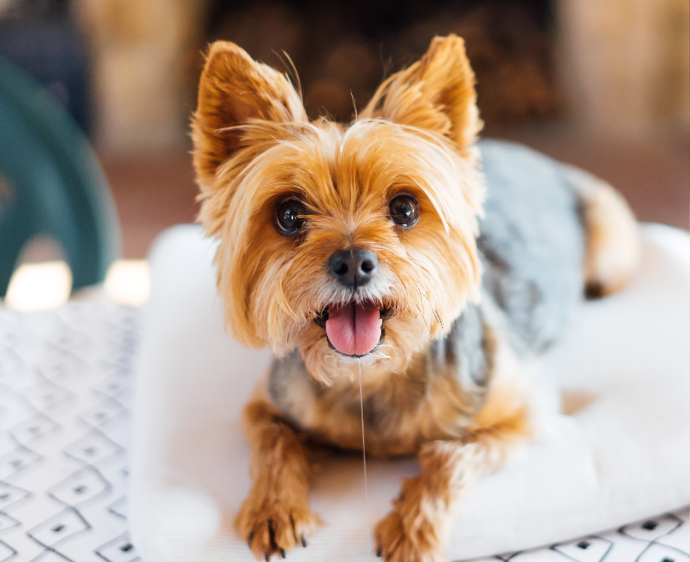 3.「一緒に頑張る」けれど、無理はさせない