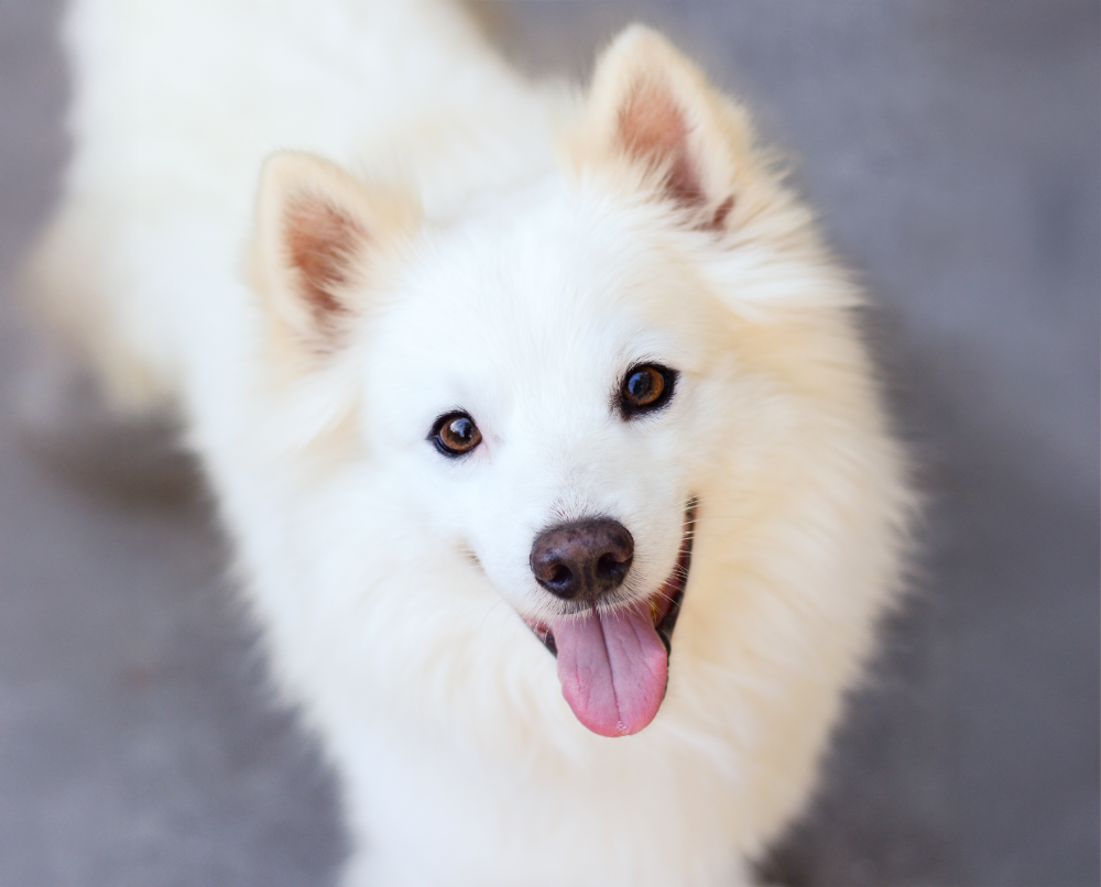 4.皮膚の悩みにも、体の中から寄り添う