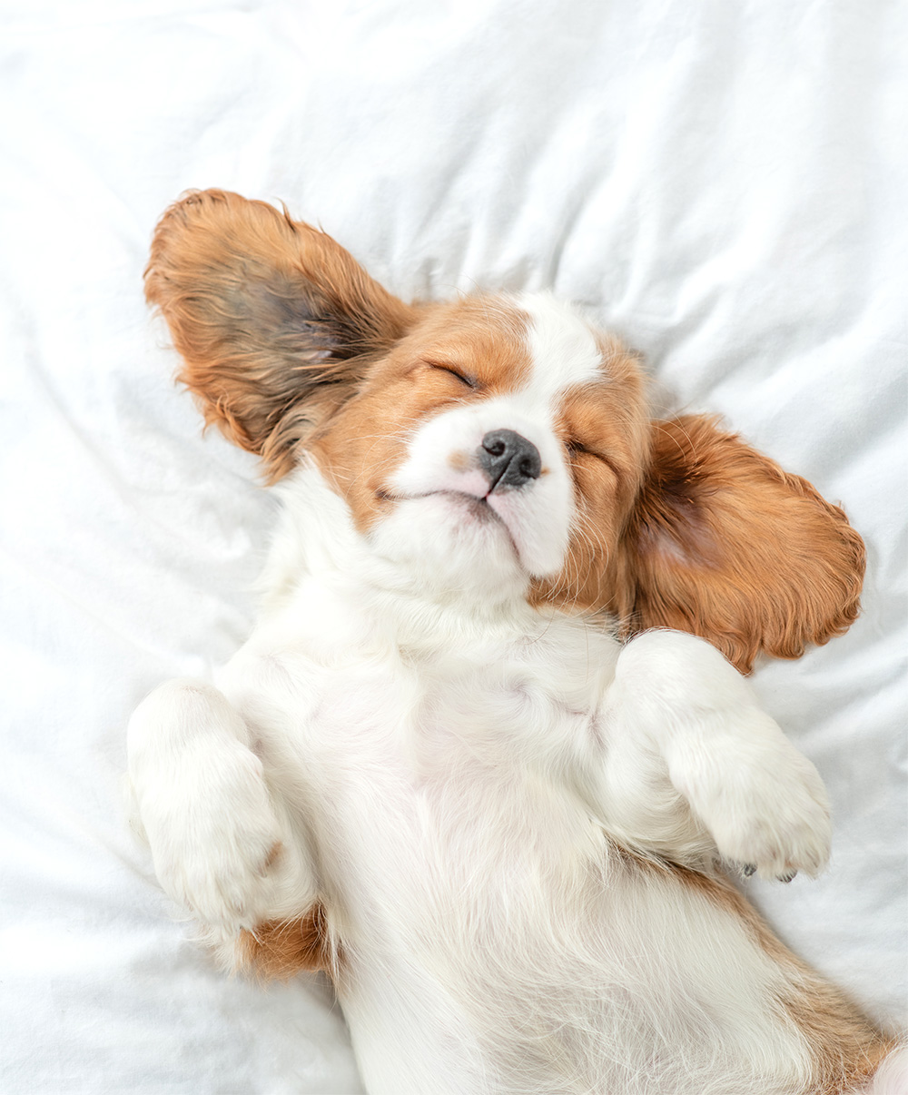 リビングで自由にくつろげる快適ステイが可能です。