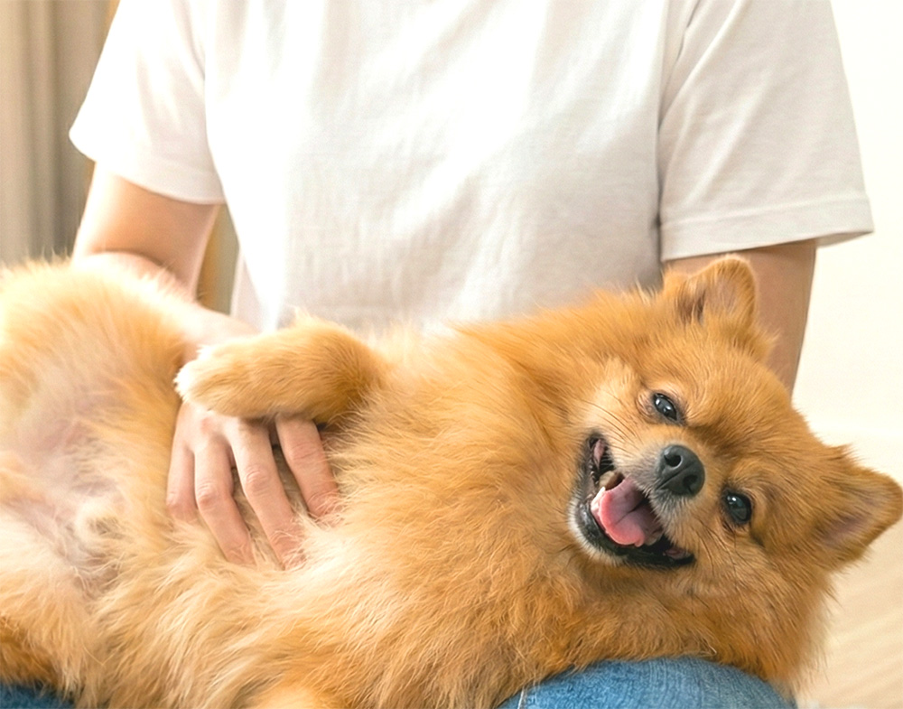 2.夜も独りぼっちにさせない「24時間一緒」の安心 