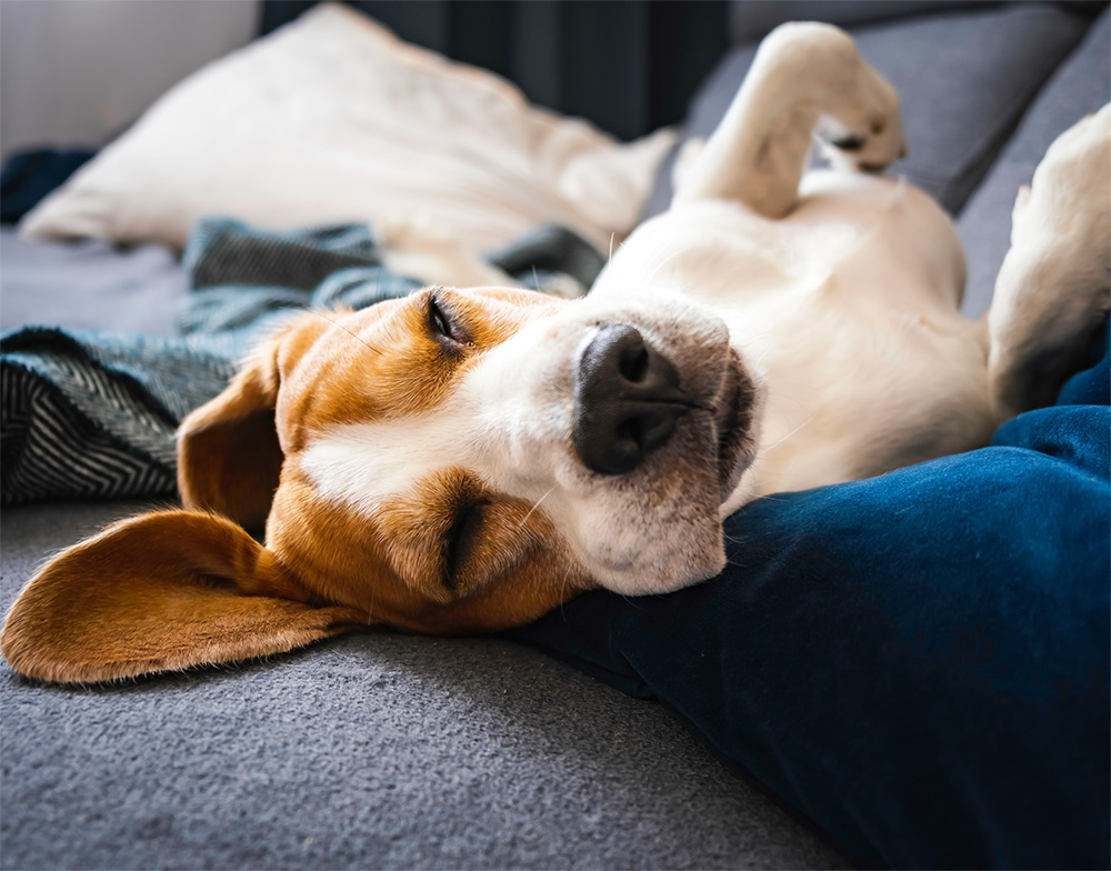 自宅にいる時と同じ仕草をしてるのを、動画で見て笑っちゃいました