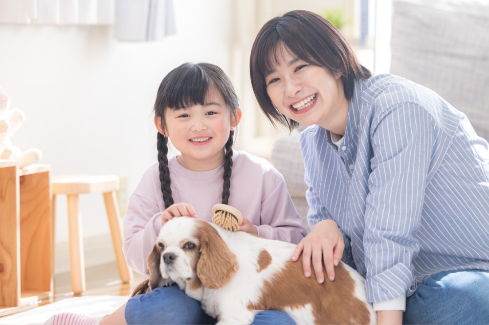 お客様からいただいた声